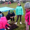 2023-03-23 Wiosenne Rozsady